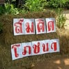 ป้ายร้านแบบบ้านๆ