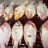 เขาขายได้วันละหลายสิบตัวทีเดียว บางทีปิ้งกันแทบไม่ทัน