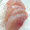 Sashimi ปลาดิบ