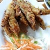ปลาทราย