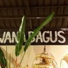 อ่านว่า.. วาน่า บากุส..