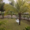 วิวสวยมาก