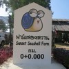 ป้ายหน้าร้าน