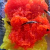 สีสันสะดุดใจ^^!!
