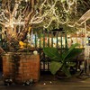 มีพระพิฆเนศวร์หน้าร้านด้วย