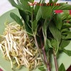 ผักพร้อม