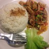 ยอผัดพริกเผาราดข้าว