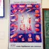 เตาถ่าน โคขุนโพนยางคำ มหาสารคาม