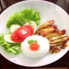 ข้าวไก่ทอดมายองเนส  55-