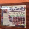 ลงนสพ.ด้วย