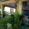บรรยากาศร่มรื่นมีต้นไม้รอบๆร้าน