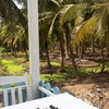 ร้านอยู่ใกล้ ๆ สวนบรรยากาศใช้ได้