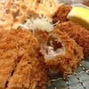 zoom oyster