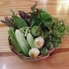 ผักเครื่องเคียง ผักพื้นบ้านปักษ์ใต้