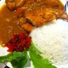 Japanese Curry With Pork