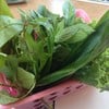 ผักสด
