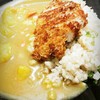 ข้าวกระเทียมหมูทอดแกงกะหรี่