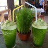 น้ำใบข้าวปั่น หวานกำลังดี หอมกลิ่นข้าวอ่อนๆ