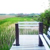 วิวสายตาสบายใจ