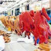 มีทั้งเป็ดย่าง และเป็ดพะโล้แขวนเรียงราย แบบทั้งตัว