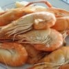กุ้งถาดแรก สียังน่ากิน ถาดต่อๆ สีซีดดด ม๊วกก