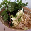 ผักฟรีหยิบเอง