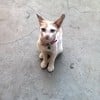เด็กรับออเดอร์ (จ้องเสียจนไม่เป็นอันสั่งเลย)
