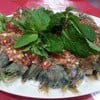 กั้งดอง