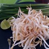 สดๆ