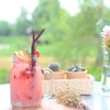 Rasp Berry Yogurt Soda