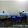 ร้านตึกแถว โต๊ะที่นั่งธรรมดาทั่ว ๆ ไป