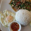 กระเพราไก่ไข่ดาว