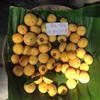 ลูกจัน