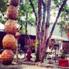ไข่ 5 ใบ.. ตั้งอยู่บนพื้น :p