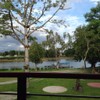 บรรยากาศสวนมองออกจากร้าน