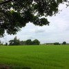 บรรยากาศที่ร้าน