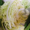 ผักสด
