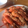 กุ้งเผา 