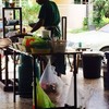 ร้าน