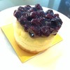 Blueberry Cheesecake 