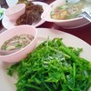 บูดู ผักกูดลวก