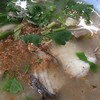 ข้าวต้มปลา