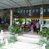 บรรยากาศร้าน