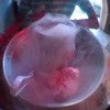ไอติมหม้อไฟ สงขลา