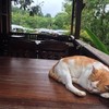 อ้วนหลับปุ๋ย