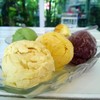 ไอศกรีมหลากหลายรสชาติ