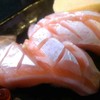 Salmon Toro Sushi