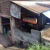 ป้าเขียม
