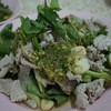 เสิร์ฟพร้อมคะน้าข้างใต้