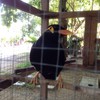 พนักงานต้อนรับประจำร้าน